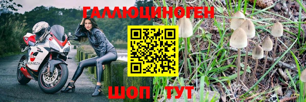 Калач-на-Дону  Псилоцибиновые грибы мухоморы  Вход с VPN 