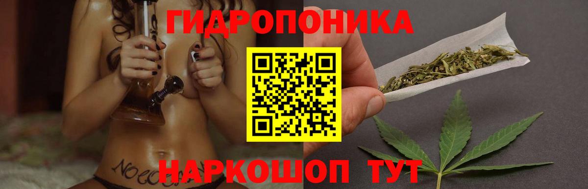 Калач-на-Дону  Каннабис индика  Каннабис гибрид  Бошки марихуана Bruce Banner  Конопля тримм  Вход с VPN 